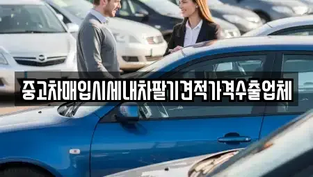 경상남도 창원시 의창구 내리동 중고차매입 전문 중고차매입시세내차팔기견적가격수출업체