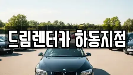 경상남도 하동군 하동읍 렌트카 전문 드림렌터카 하동지점