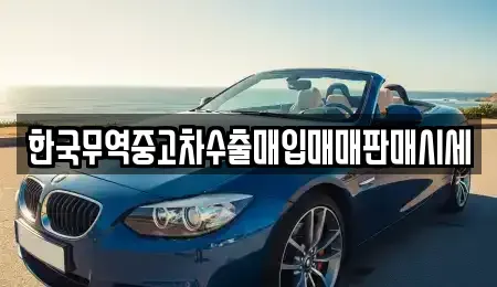 경상남도 하동군 하동읍 중고차매입 전문 한국무역중고차수출매입매매판매시세