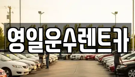 경상남도 합천군 합천읍 렌트카 전문 영일운수렌트카