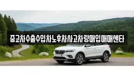 경상남도 합천군 합천읍 중고차매입 전문 중고차수출수입차노후차사고차량매입매매센타