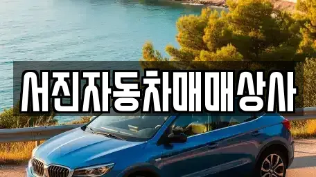 경상북도 포항시 남구 오천읍 중고차 전문 서진자동차매매상사