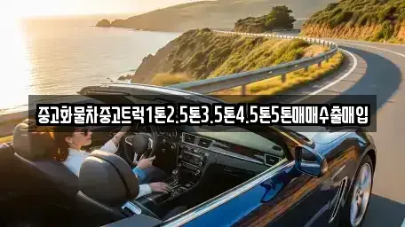 경상북도 포항시 남구 오천읍 중고차매입 전문 중고화물차중고트럭1톤2.5톤3.5톤4.5톤5톤매매수출매입