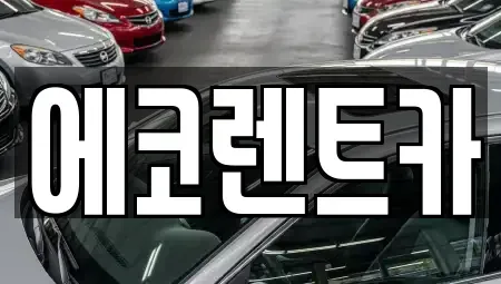 광주 동구 용연동 렌트카 전문 에코렌트카