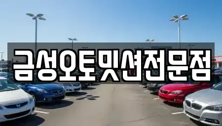 광주광역시 광산구 신촌동 중고차 전문 금성오토밋션전문점