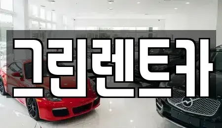광주광역시 남구 봉선동 렌트카 전문 그린렌트카