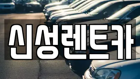 광주광역시 남구 봉선동 렌트카 전문 신성렌트카