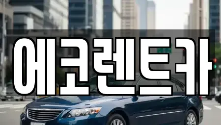 광주광역시 남구 봉선동 렌트카 전문 에코렌트카
