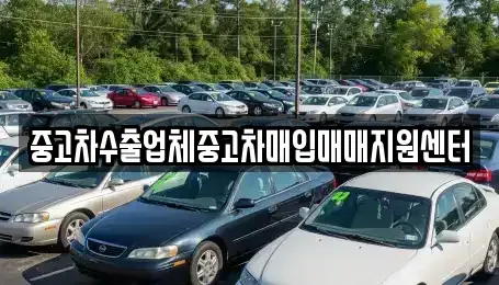 광주광역시 남구 봉선동 중고차 전문 중고차수출업체중고차매입매매지원센터