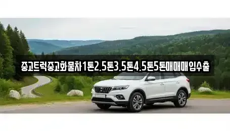 광주광역시 남구 봉선동 중고차 전문 중고트럭중고화물차1톤2.5톤3.5톤4.5톤5톤매매매입수출