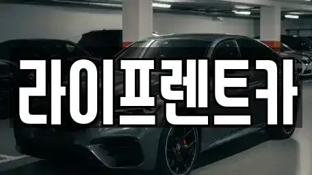 대구광역시 달서구 장동 렌트카 전문 라이프렌트카