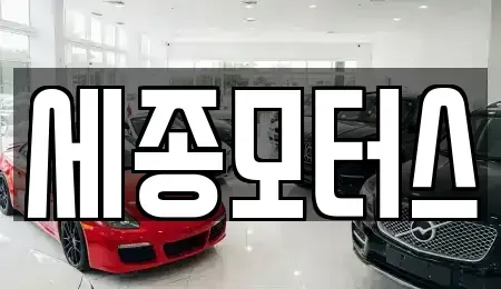 대구광역시 달서구 장동 중고차매매 전문 세종모터스