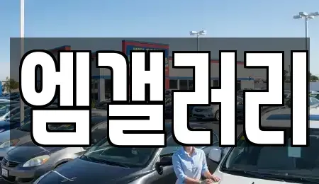 대구광역시 달서구 장동 중고차매매 전문 엠갤러리