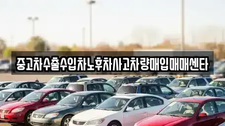 대구광역시 달서구 장동 중고차매입 전문 중고차수출수입차노후차사고차량매입매매센타
