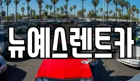 대구광역시 달성군 논공읍 렌트카 전문 뉴예스렌트카