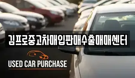 대구광역시 달성군 논공읍 중고차 전문 김프로중고차매입판매수출매매센터