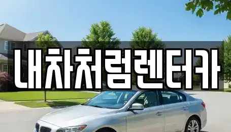 대구광역시 동구 율암동 렌트카 전문 내차처럼렌터카