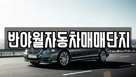 대구광역시 동구 율암동 중고차 전문 반야월자동차매매단지