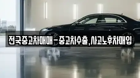대구광역시 동구 율암동 중고차 전문 전국중고차매매-중고차수출,사고노후차매입