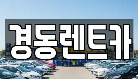 대구광역시 중구 남일동 렌트카 전문 경동렌트카