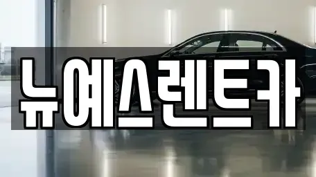 대구광역시 중구 남일동 렌트카 전문 뉴예스렌트카