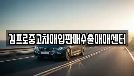 대구광역시 중구 남일동 중고차매입 전문 김프로중고차매입판매수출매매센터