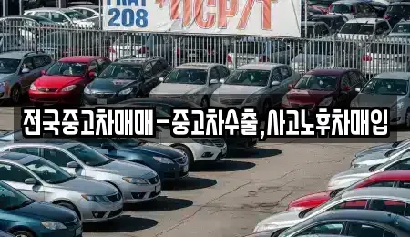 대구광역시 중구 남일동 중고차매입 전문 전국중고차매매-중고차수출,사고노후차매입