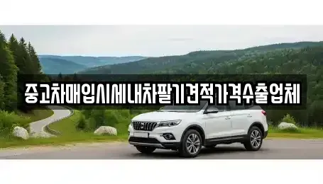 대구광역시 중구 남일동 중고차매입 전문 중고차매입시세내차팔기견적가격수출업체
