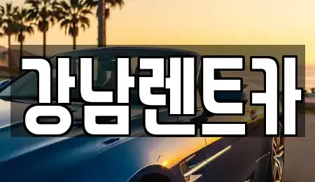 대전 서구 장안동 렌트카 전문 강남렌트카