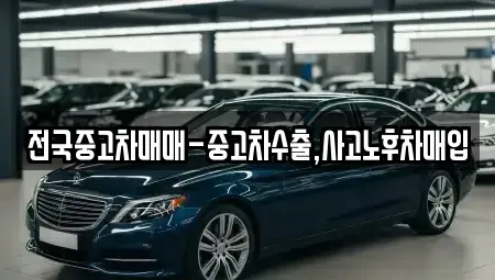 대전 서구 장안동 중고차 전문 전국중고차매매-중고차수출,사고노후차매입