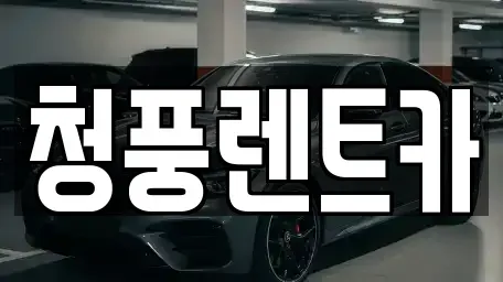 대전광역시 대덕구 갈전동 렌트카 전문 청풍렌트카