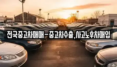 대전광역시 서구 용촌동 중고차 전문 전국중고차매매-중고차수출,사고노후차매입