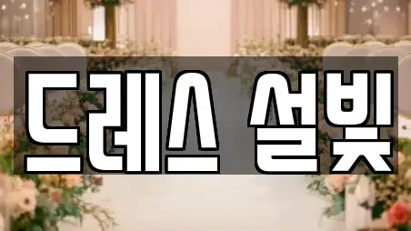 드레스 설빛