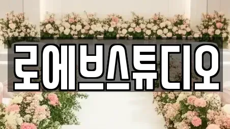 로에브스튜디오