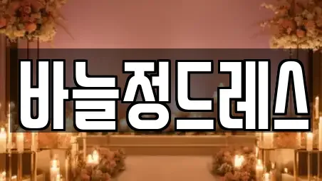 바늘정드레스