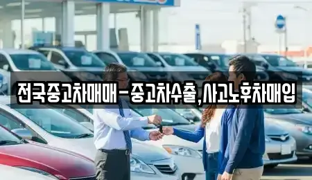 부산 강서구 동선동 중고차매입 전문 전국중고차매매-중고차수출,사고노후차매입