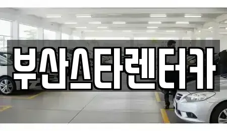 부산 금정구 청룡동 렌트카 전문 부산스타렌터카