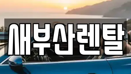 부산 금정구 청룡동 렌트카 전문 새부산렌탈