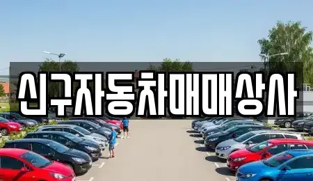 부산 금정구 청룡동 중고차 전문 신구자동차매매상사