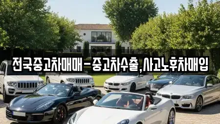 부산 금정구 청룡동 중고차매입 전문 전국중고차매매-중고차수출,사고노후차매입