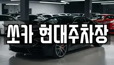 부산 북구 덕천동 렌트카 전문 쏘카 현대주차장