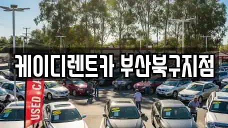 부산 북구 덕천동 렌트카 전문 케이디렌트카 부산북구지점