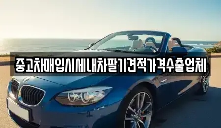 부산 북구 덕천동 중고차매입 전문 중고차매입시세내차팔기견적가격수출업체