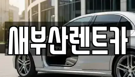 부산 서구 충무동1가 렌트카 전문 새부산렌트카