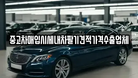 부산 서구 토성동3가 중고차매입 전문 중고차매입시세내차팔기견적가격수출업체