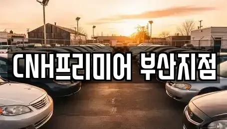 부산 중구 신창동1가 렌트카,단기렌트카,장기렌트카,중고차,중고차매매,중고차매입