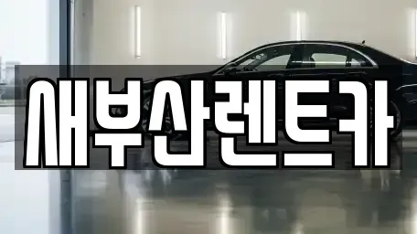 부산 중구 신창동1가 렌트카 전문 새부산렌트카