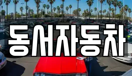 부산 중구 신창동1가 중고차 전문 동서자동차