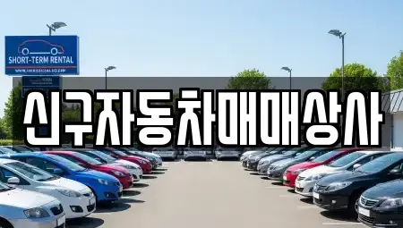 부산 중구 신창동1가 중고차 전문 신구자동차매매상사