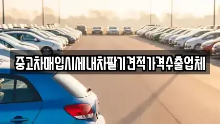 부산 중구 신창동1가 중고차매입 전문 중고차매입시세내차팔기견적가격수출업체
